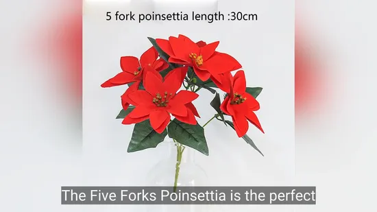 Five Forks Poinsettia: Perfect Holiday Gift for Loved Ones 